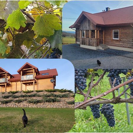 Fantastic View Vineyard Beskid Mountains Gruszow  エクステリア 写真