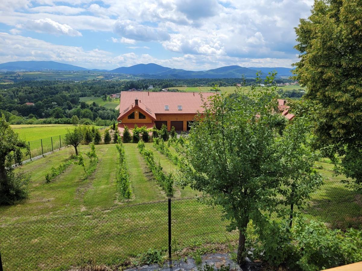 Fantastic View Vineyard Beskid Mountains Gruszow  エクステリア 写真
