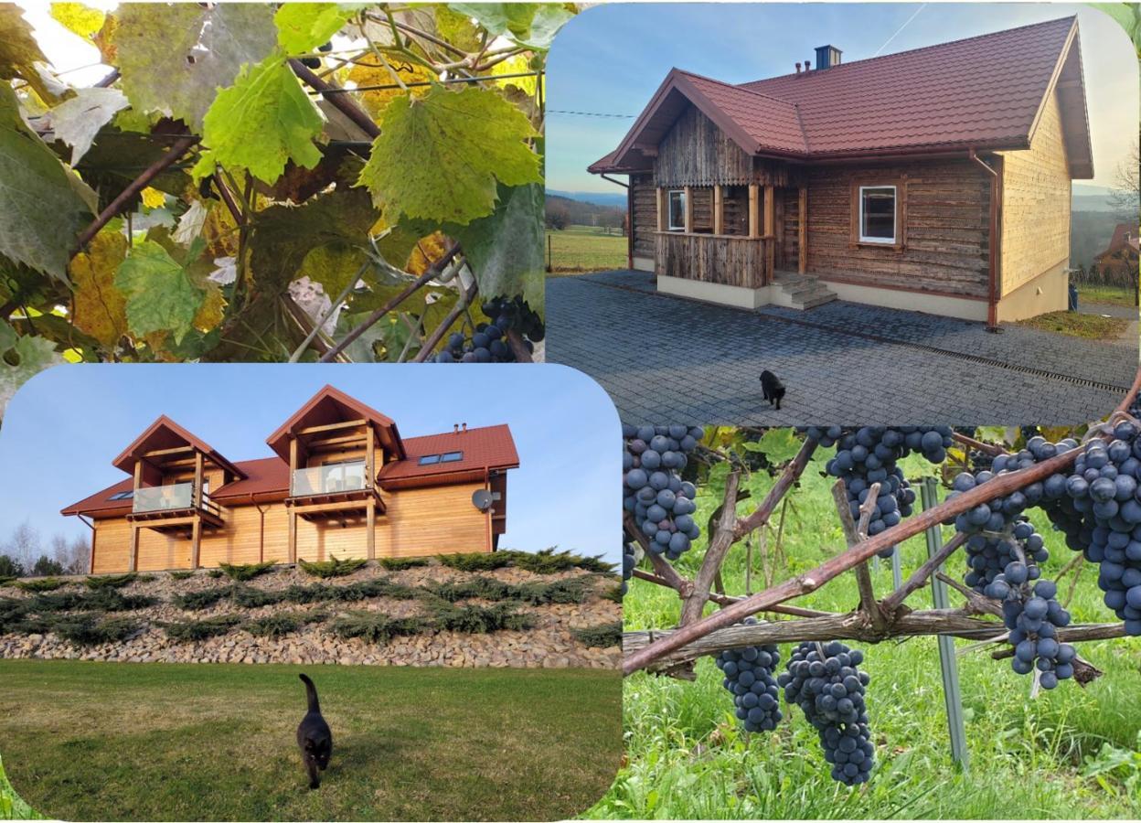 Fantastic View Vineyard Beskid Mountains Gruszow  エクステリア 写真