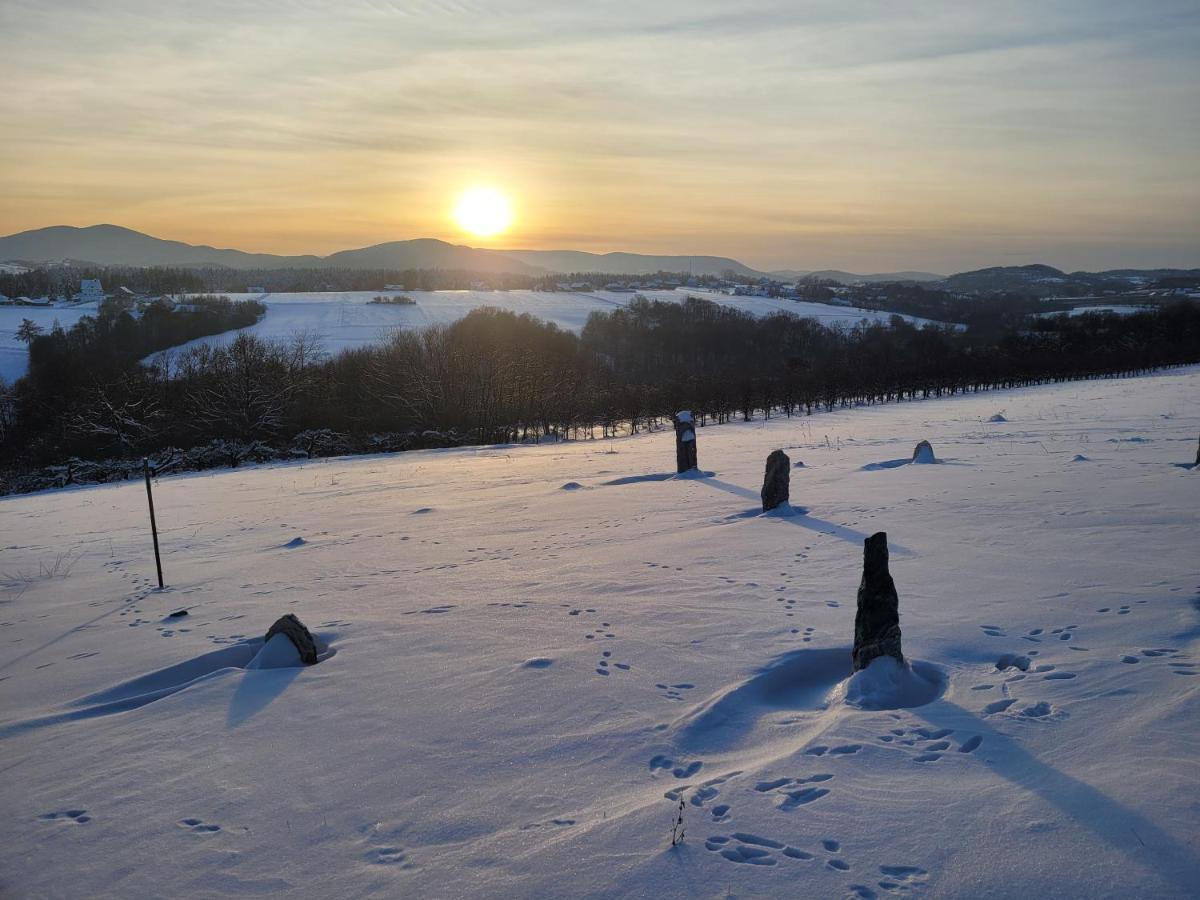 Fantastic View Vineyard Beskid Mountains Gruszow  エクステリア 写真