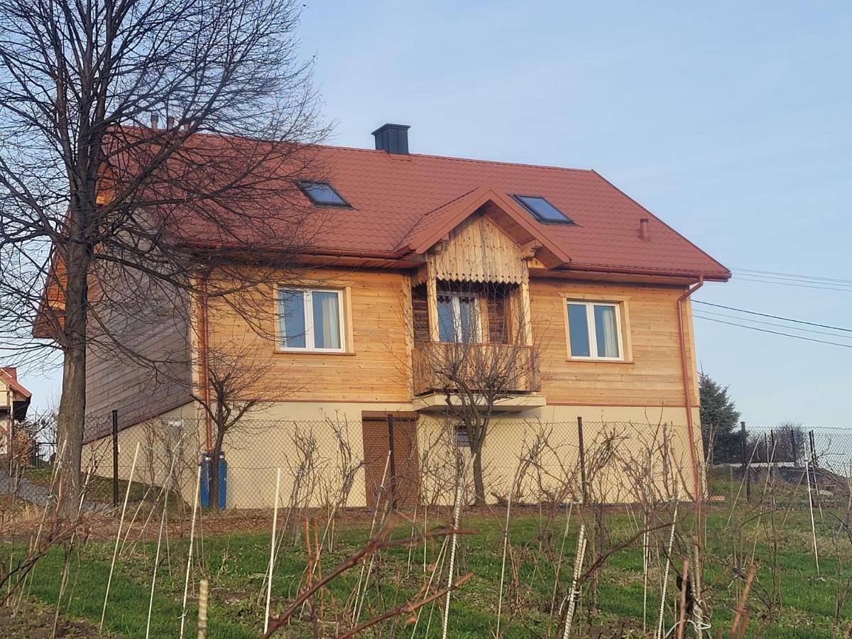 Fantastic View Vineyard Beskid Mountains Gruszow  エクステリア 写真